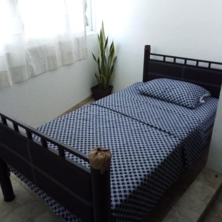 Ideal accommodation for families friends or work - Appartement 1 Chambre - 38