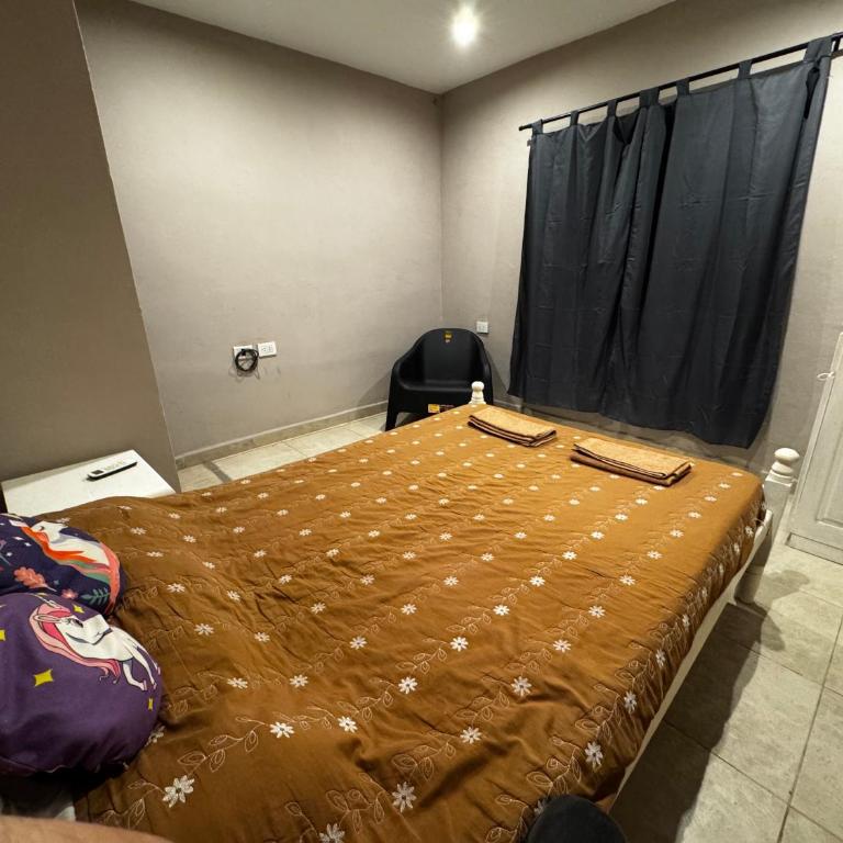 ViGGO - Casa con 1 dormitorio - 4