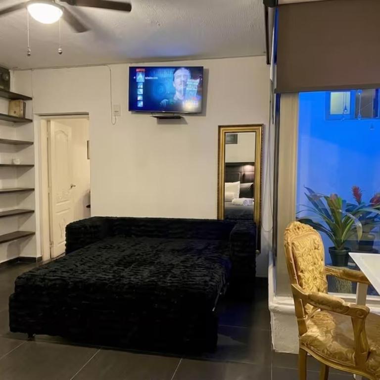Suites Casa Pajaritos Mezquitán - Estudio con sofá cama - 3
