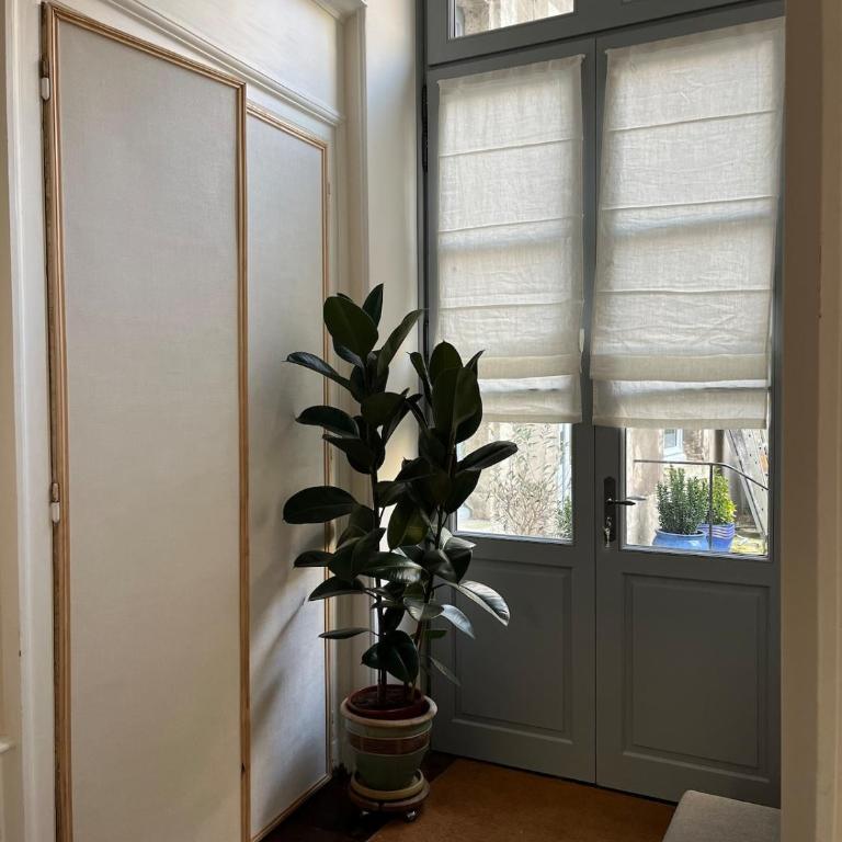 Appartement blois centre ville avec parking à vélos - Appartement 1 Chambre - 5