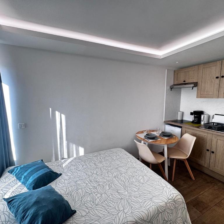 Studio proche aéroport, tramway, plage - Appartement 1 Chambre - 12