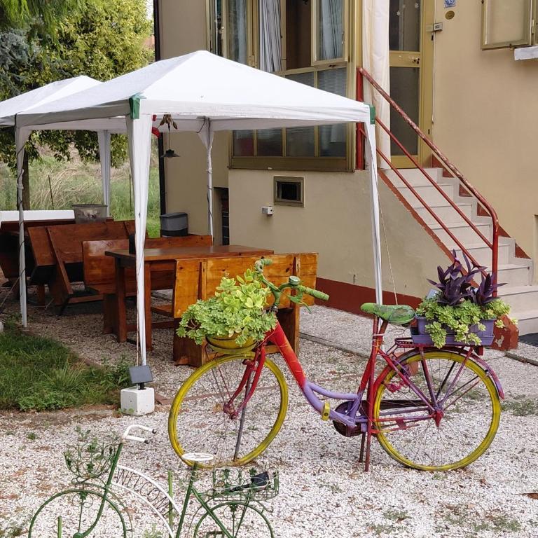Villa Lilli 3 - Appartement - Vue sur Jardin - 14