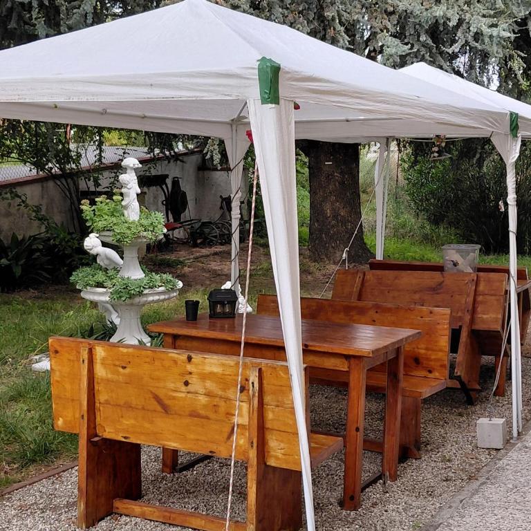 Villa Lilli 3 - Appartement - Vue sur Jardin - 9