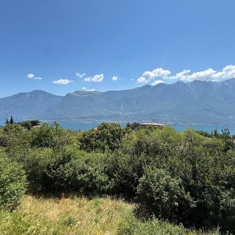 La Quiete 23 Lake view apartment by Gardadomusmea - Appartamento con Vista - 41