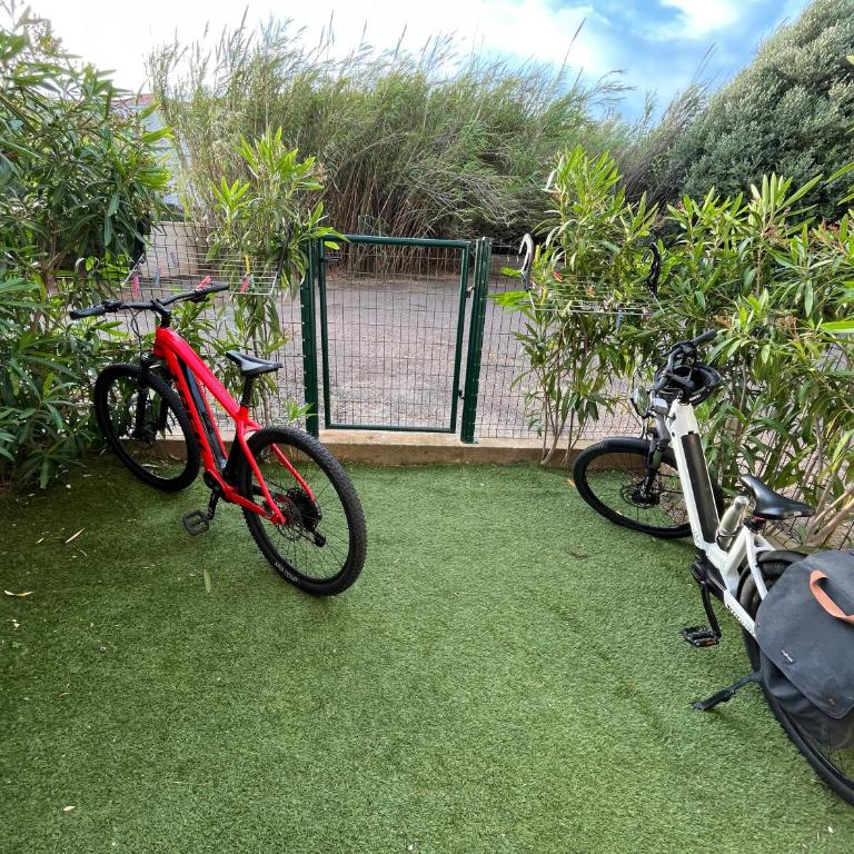 Grand Studio rez de jardin climatisé avec parking à 5 min à pieds de la mer et commerces - Appartement 1 Chambre - 2