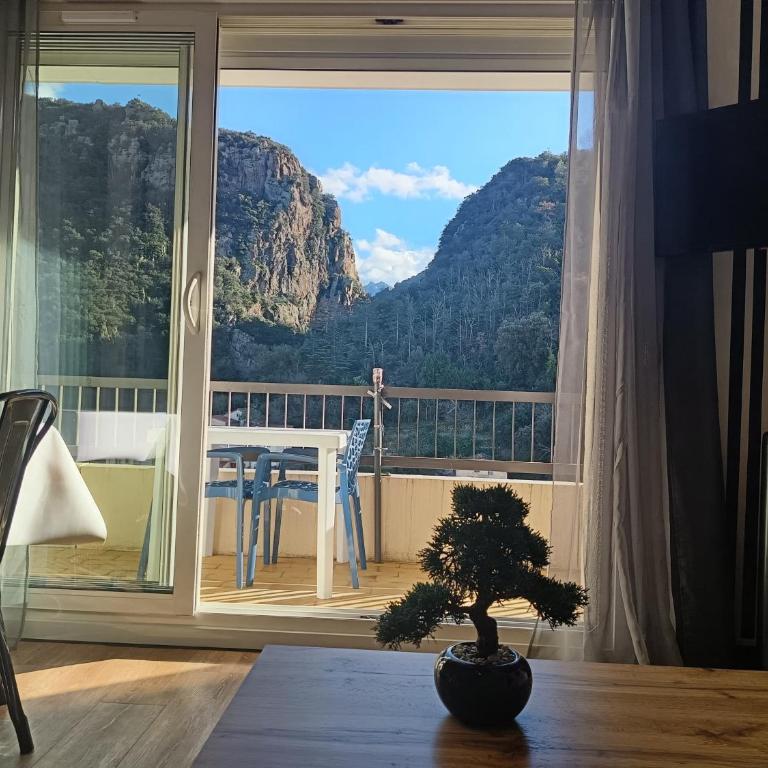 Magnifique studio avec vue au pied des thermes - Appartement 1 Chambre - 1