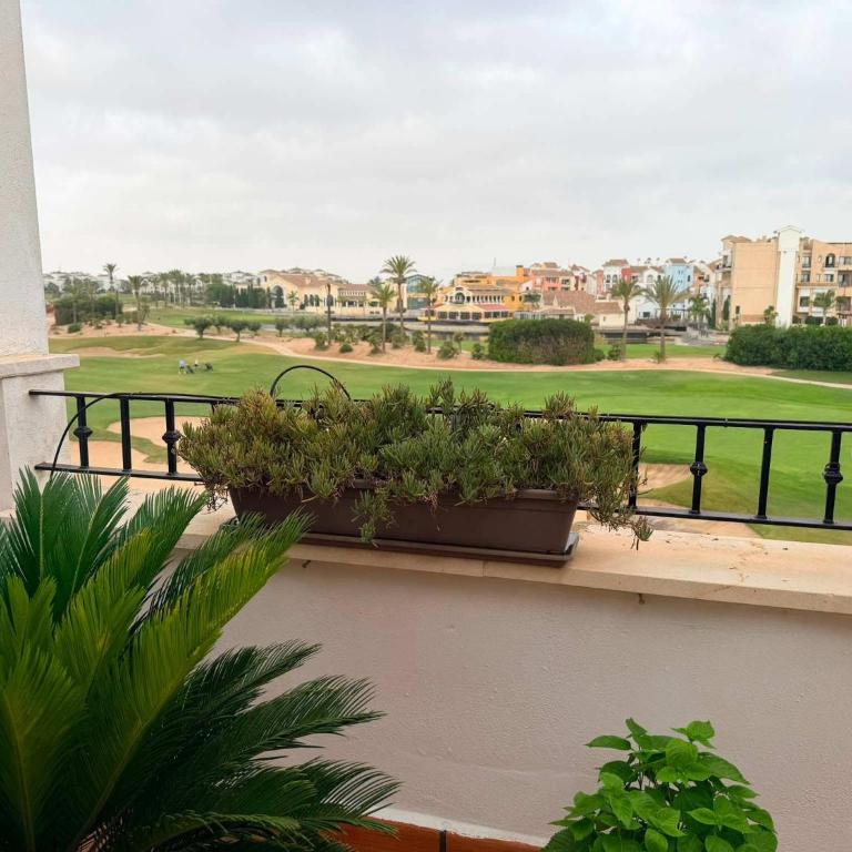 Penthouse with spectacular views at La Torre Golf - AA1031-LT - Apartment - 23