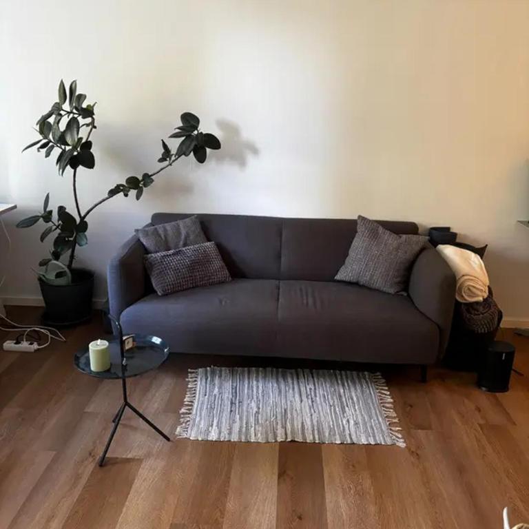 Gemütliche Wohnung in ruhiger Lage in München - Appartamento - 8