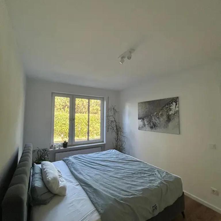 Gemütliche Wohnung in ruhiger Lage in München - Appartamento - 11
