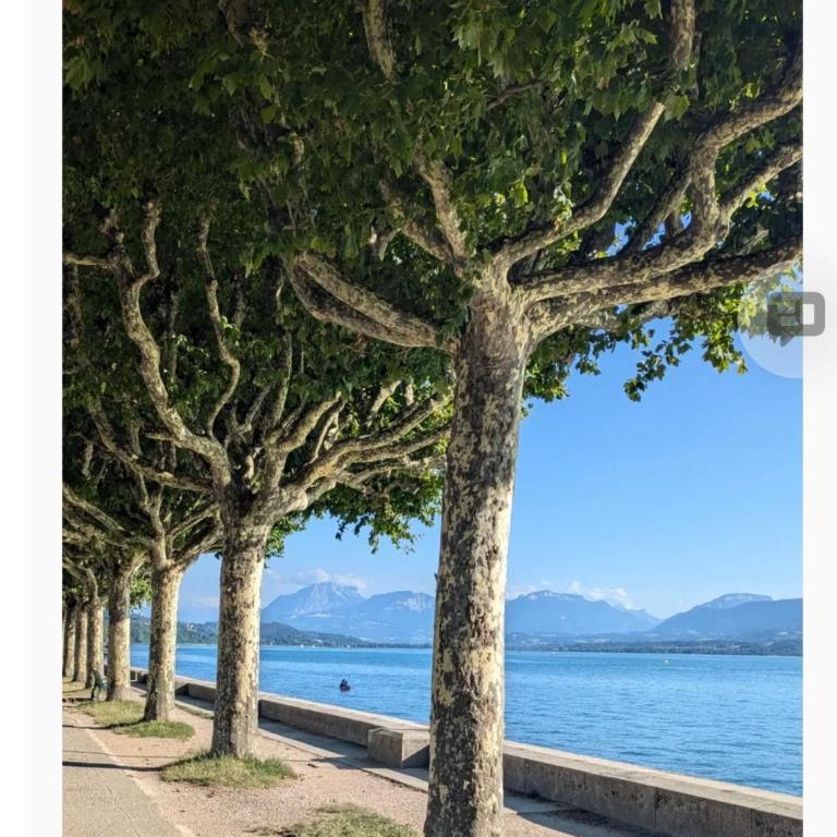T1 bis, 33m2, avec cuisine, en hyper centre, Aix les Bains - Appartement 1 Chambre - 13