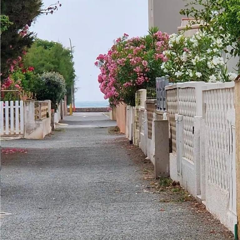 Bord de plage#Vue mer#Confort#Charmant - Appartement 1 Chambre - 3