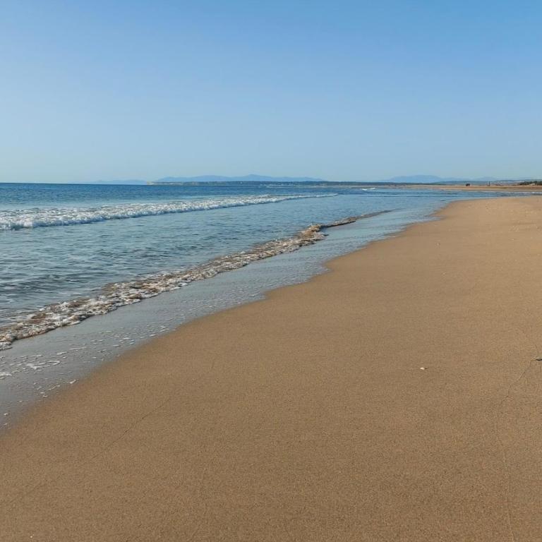 Bord de plage#Vue mer#Confort#Charmant - Appartement 1 Chambre - 12