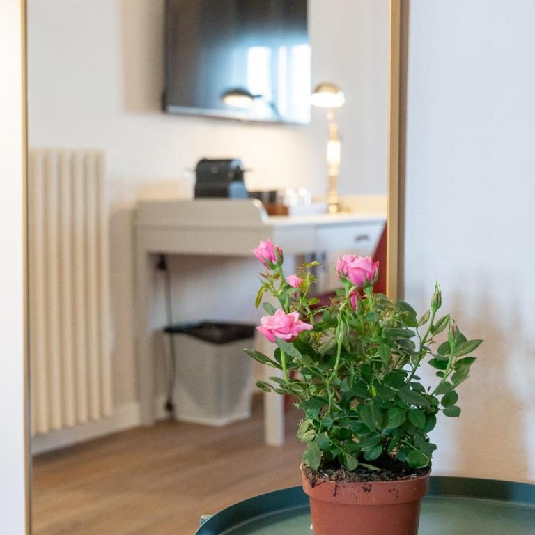 Foster Guest House - Three-Bedroom Apartment - 83