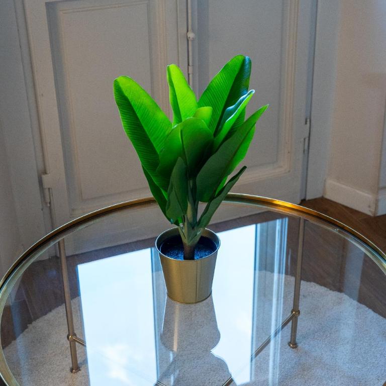 Foster Guest House - Three-Bedroom Apartment - 86