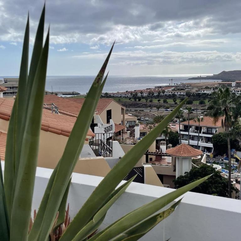501.Serene studio with large terrace and pool - Apartment - 29