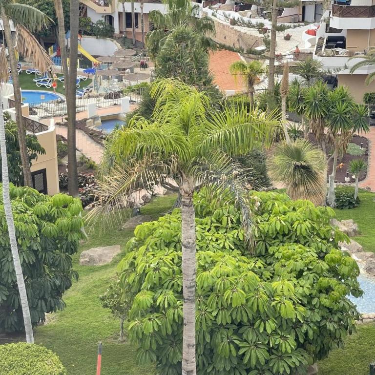 501.Serene studio with large terrace and pool - Apartment - 31