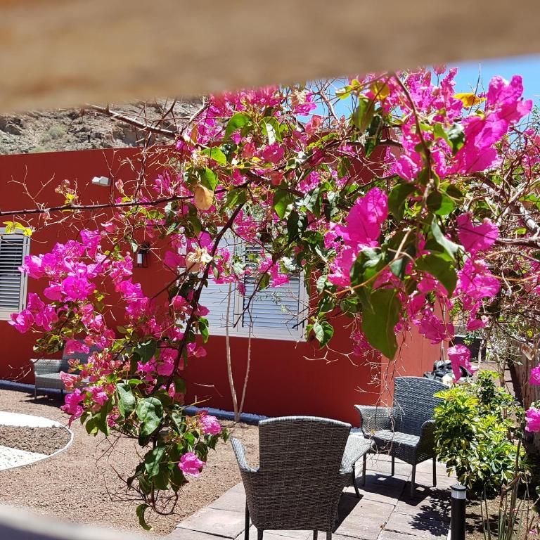 Villa Diana with Heated Private Pool near Anfi Golf and Amadores Beach - Villa con piscina privada - 4