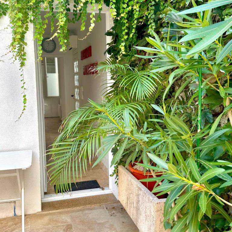 Gite AVIGNON BOUGAINVILLIER - Maison 3 Chambres - 13