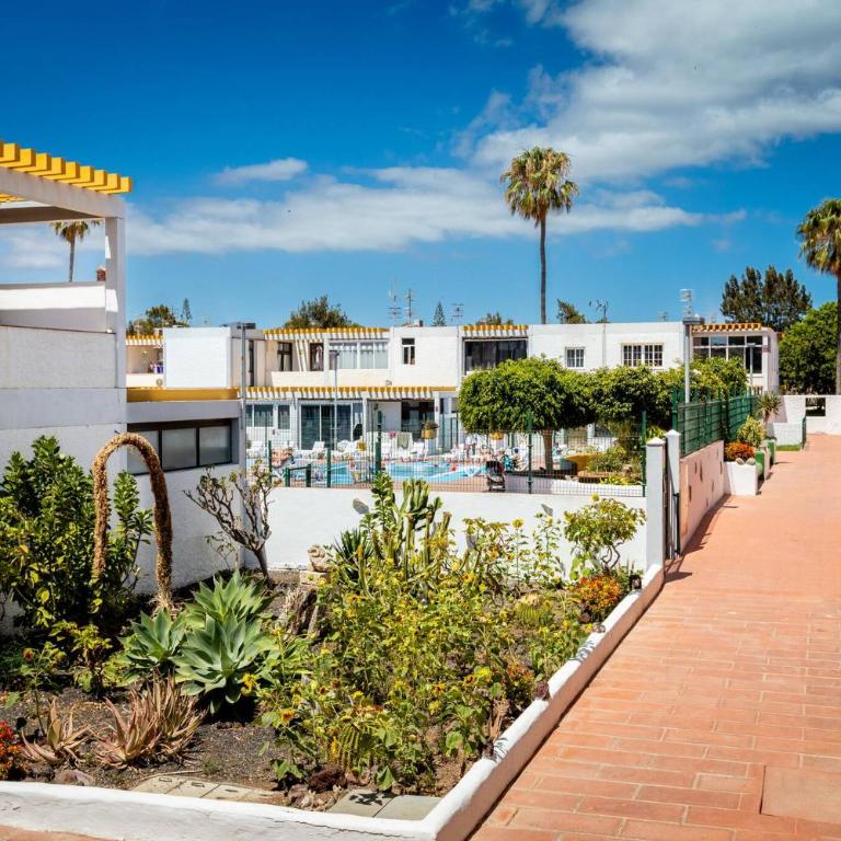 Drago - Costa Del Silencio Tenerife - Appartamento Monolocale - 17