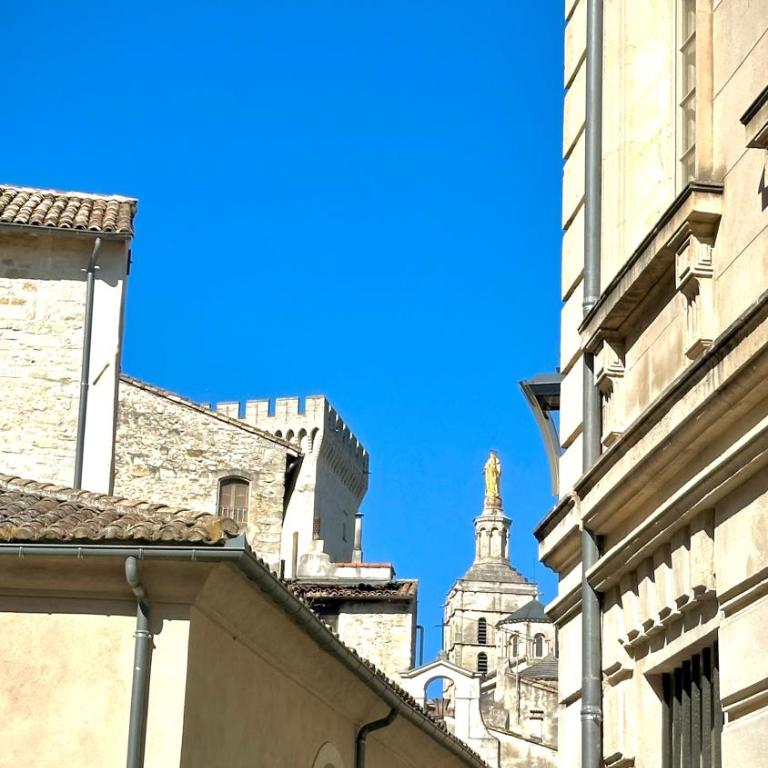 Gite AVIGNON BOUGAINVILLIER - Maison 3 Chambres - 35