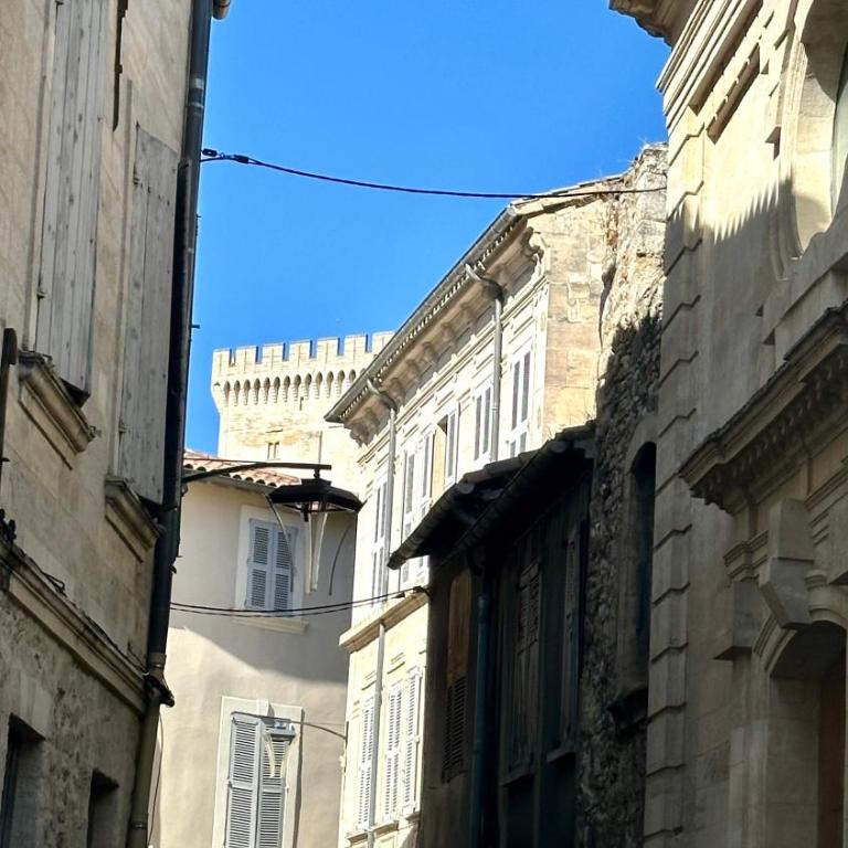 Gite AVIGNON BOUGAINVILLIER - Maison 3 Chambres - 36