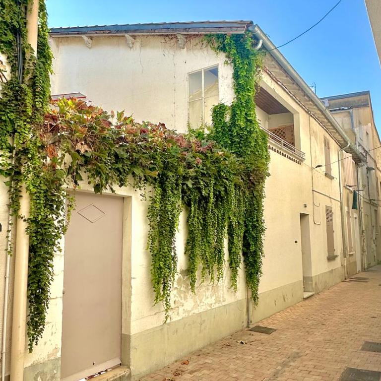 Gite AVIGNON BOUGAINVILLIER - Maison 3 Chambres - 37