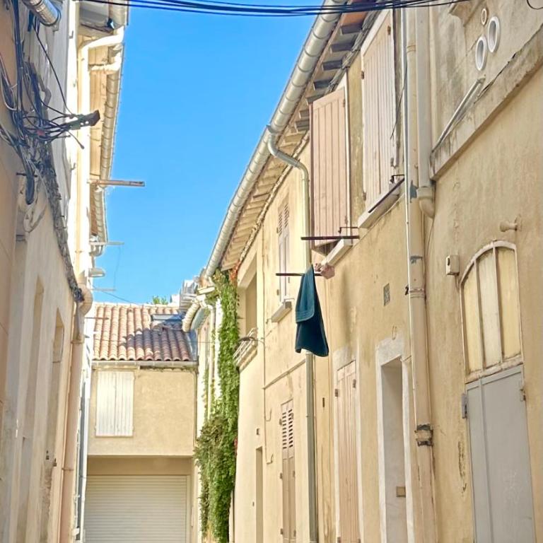 Gite AVIGNON BOUGAINVILLIER - Maison 3 Chambres - 38