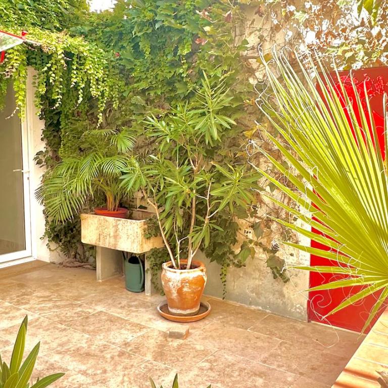 Gite AVIGNON BOUGAINVILLIER - Maison 3 Chambres - 14