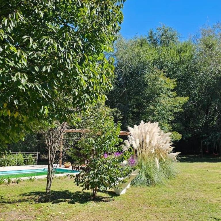 Casa de Campo Don Julio - Casa de 3 dormitorios - 39