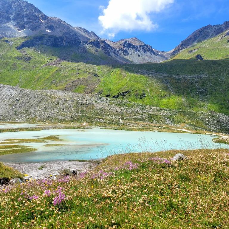 Chambre Zinal Rothorn - Zimmer mit Kingsize-Bett und Bergblick - 1