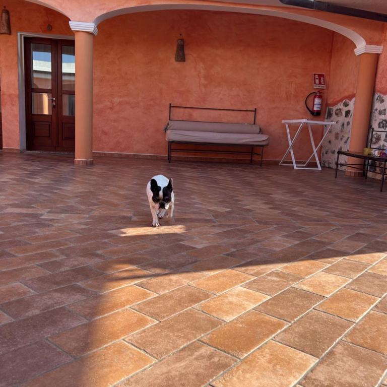 Villa Pedduzza nel Golfo di Orosei - Villa - 75