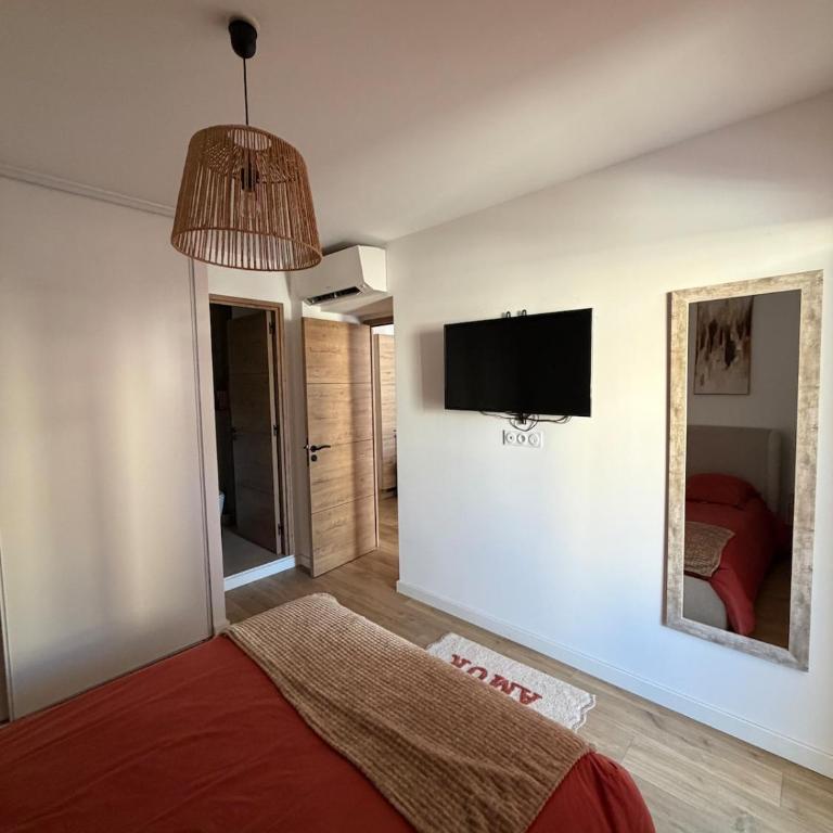 Logement T2 - Ajaccio - Appartement 1 Chambre - 5