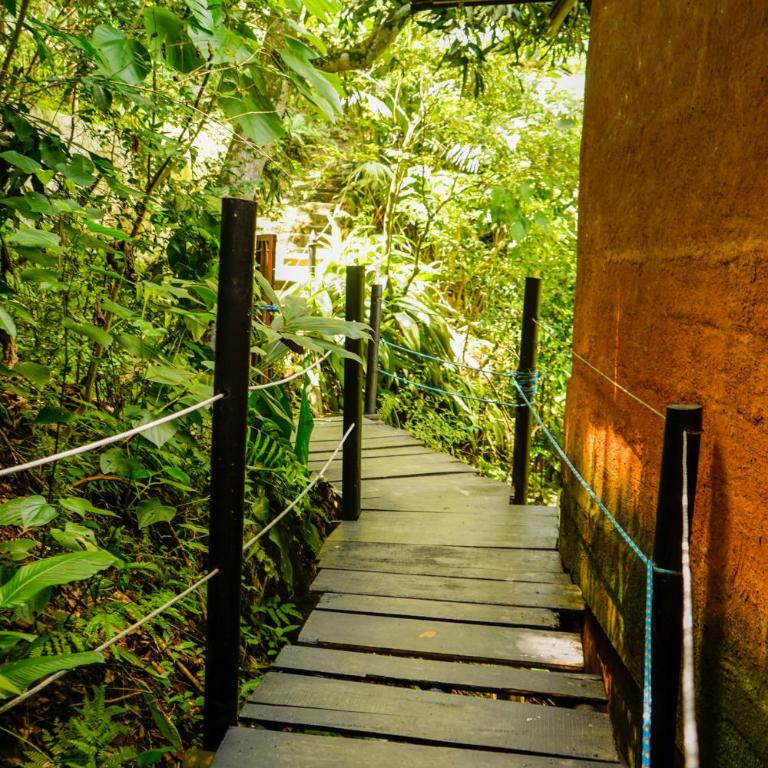 Hostal CASA COLIBRI MINCA - Chalet Superior - 9