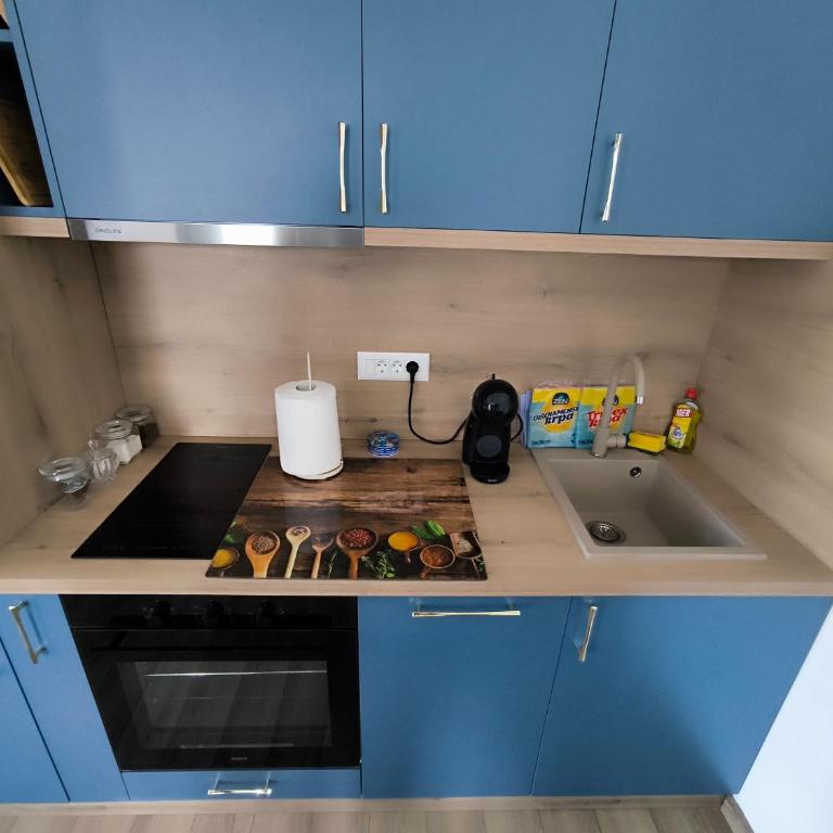 Apartmani Negojević - Apartman sa 1 Spavaćom Sobom - 2