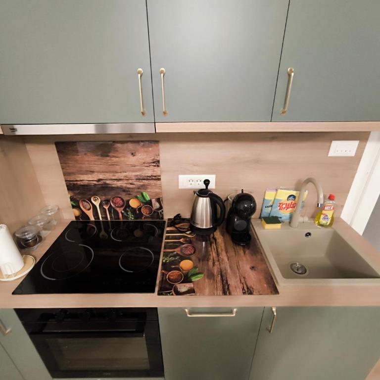 Apartmani Negojević - Apartman sa 1 Spavaćom Sobom - 3