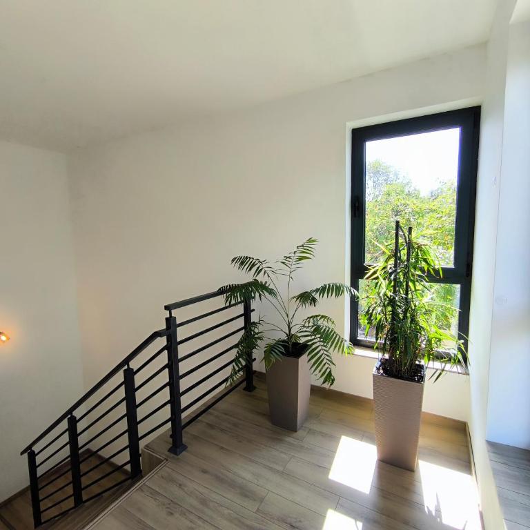 Apartmani Negojević - Apartman sa 1 Spavaćom Sobom - 4