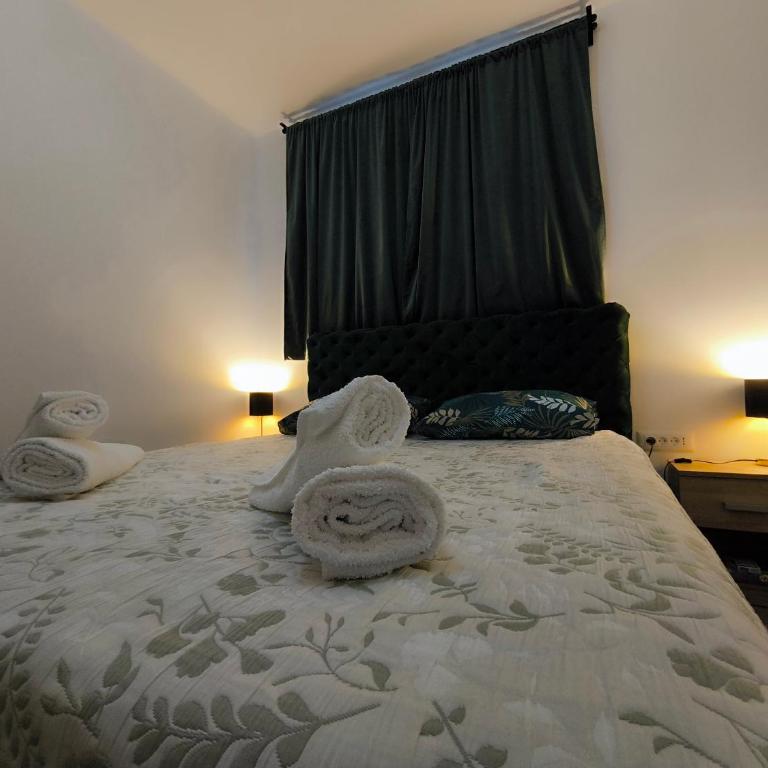 Apartmani Negojević - Apartman sa 1 Spavaćom Sobom - 13