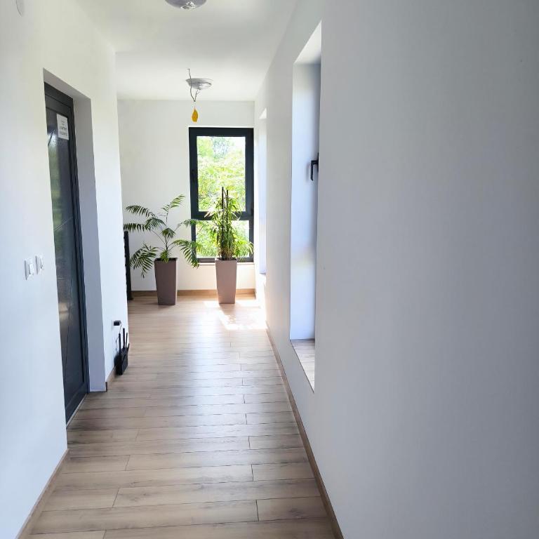 Apartmani Negojević - Apartman sa 1 Spavaćom Sobom - 18