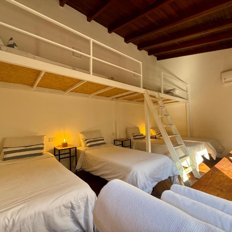 Clivias Hostel - Cama individual en habitación compartida mixta - 14