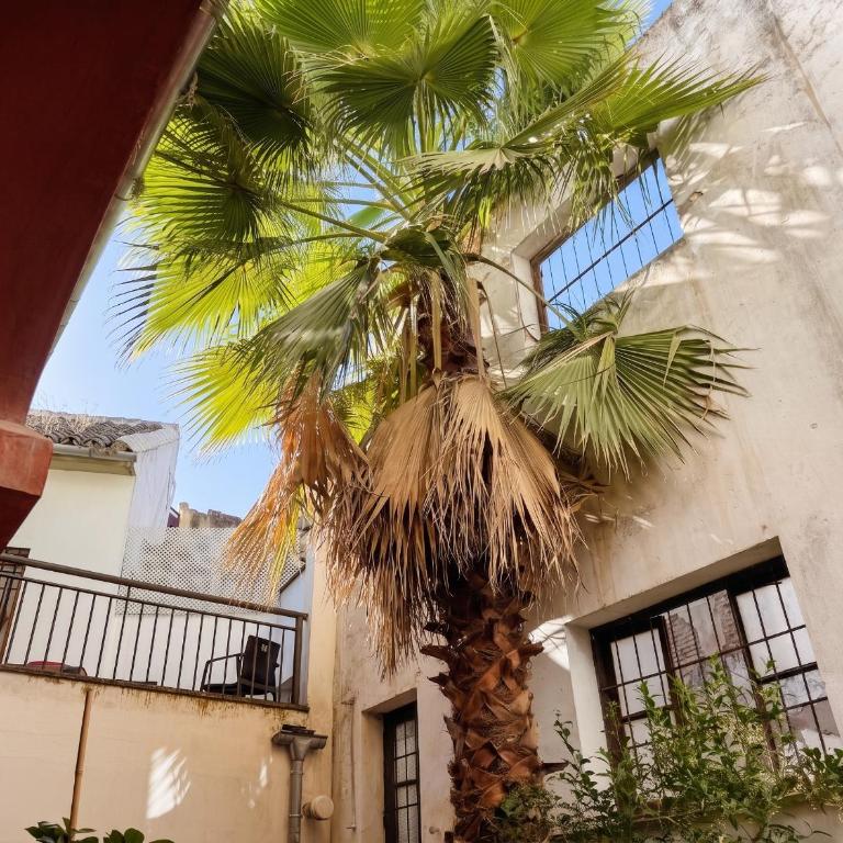 Patio de Armas Córdoba - Apartment mit 2 Schlafzimmern - 32