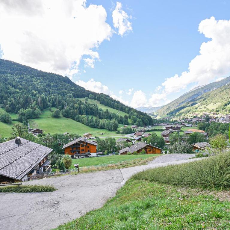 Appt Le Regain - Le Grand Bornand - Appartement 2 Chambres avec Vue sur la Montagne - 27