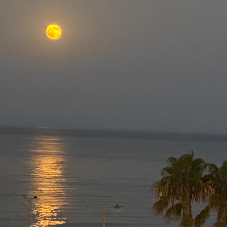 Ático en primera línea de playa - Apartamento de 3 dormitorios - 42
