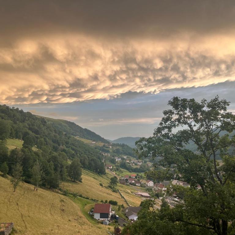 Charming chalet with great views and outdoor area - Chalet - 35