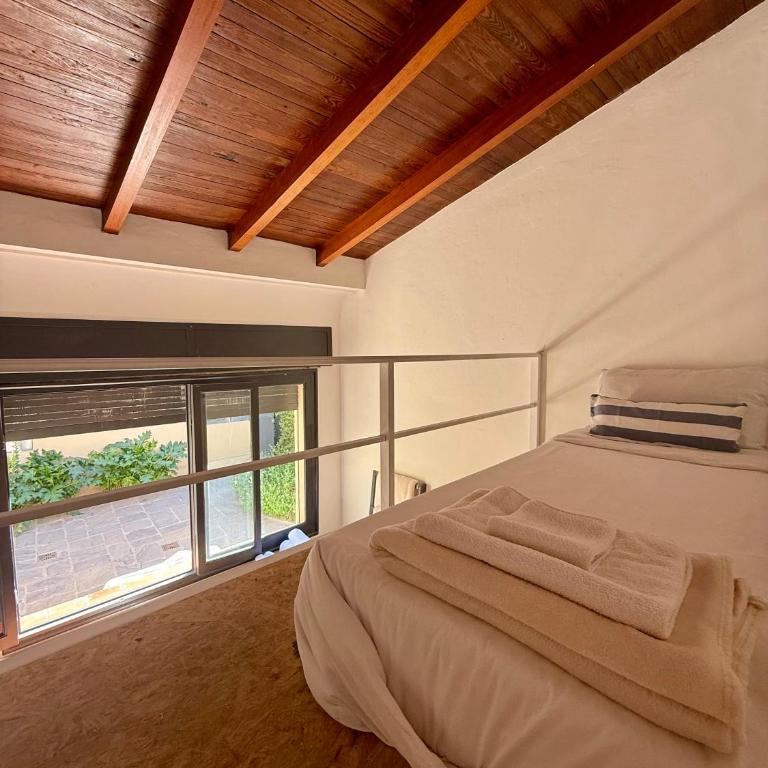 Clivias Hostel - Cama individual en habitación compartida mixta - 16