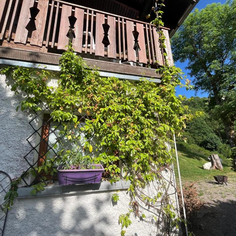 Charming chalet with great views and outdoor area - Chalet - 39