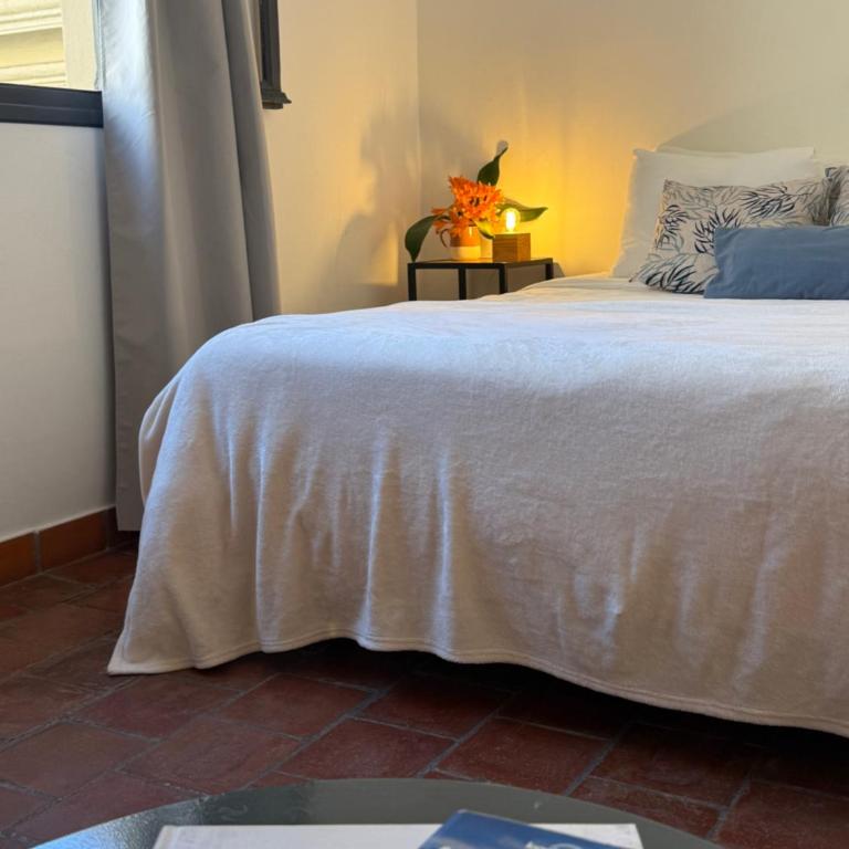 Clivias Hostel - Habitación Doble con baño compartido - 1 o 2 camas - 11