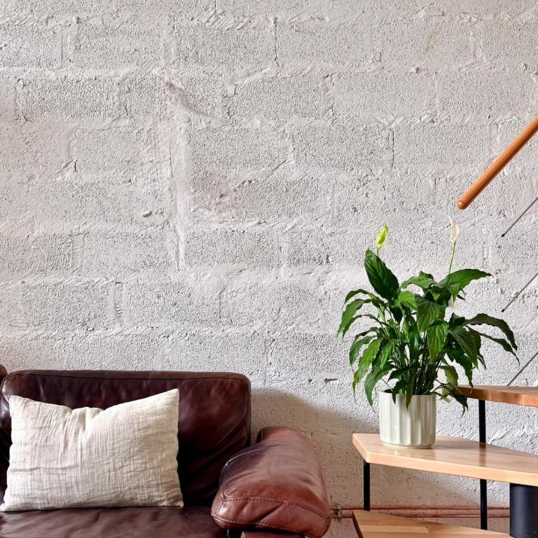 Loft Albert - Chartrons - Appartement - Vue sur Jardin - 1