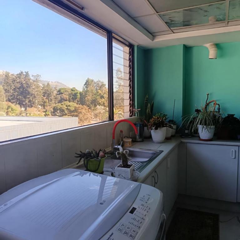 Parke inglés - Apartamento de 3 dormitorios - 23
