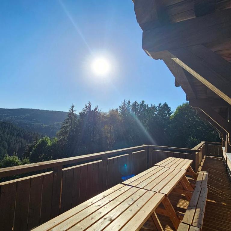 CHALET ALTITUDE 808 piscine intérieure, 9 chambres - Chalet - 7