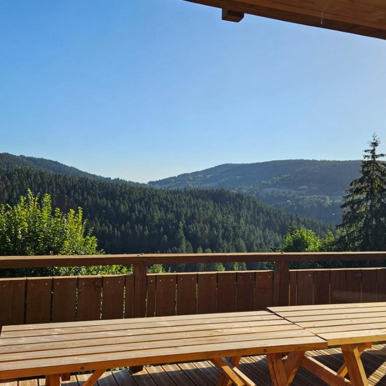 CHALET ALTITUDE 808 piscine intérieure, 9 chambres - Chalet - 45